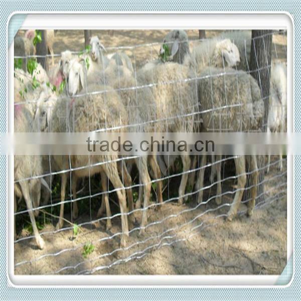 The best price PE coated horse/sheep/cattle/deer/cow fence panel