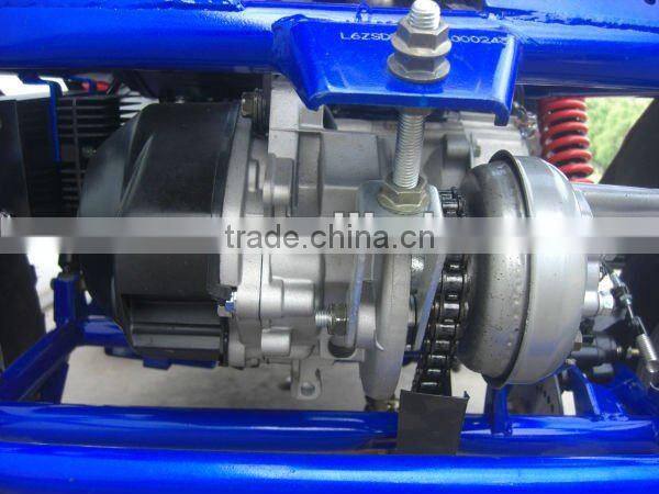 Off Road 250cc Sand Buggy