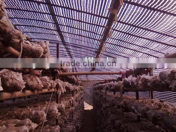 best quality hdpe 100% new material plastic film greenhouses for mushroom