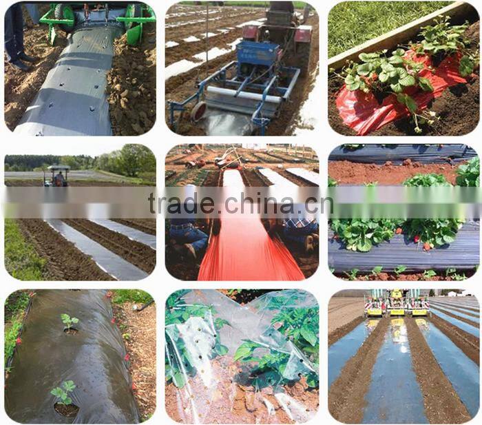 agriculture usage perfoared mulch film with holes