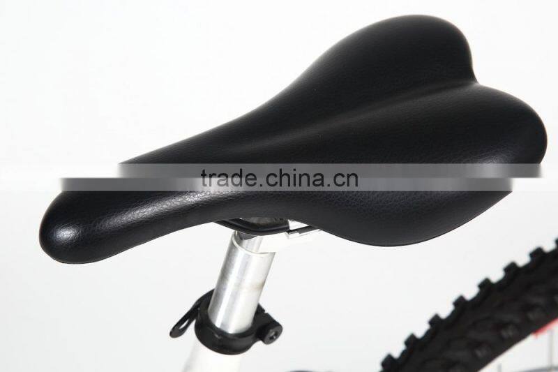 26 inch electric mountain bicycle with 250w Brushless hub motor