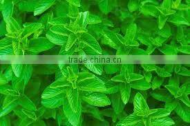 Food essence and flavours