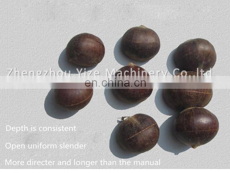Double Chain Plate Electrical Chestnut Opening Machine Chestnut Shell Breaker Machine