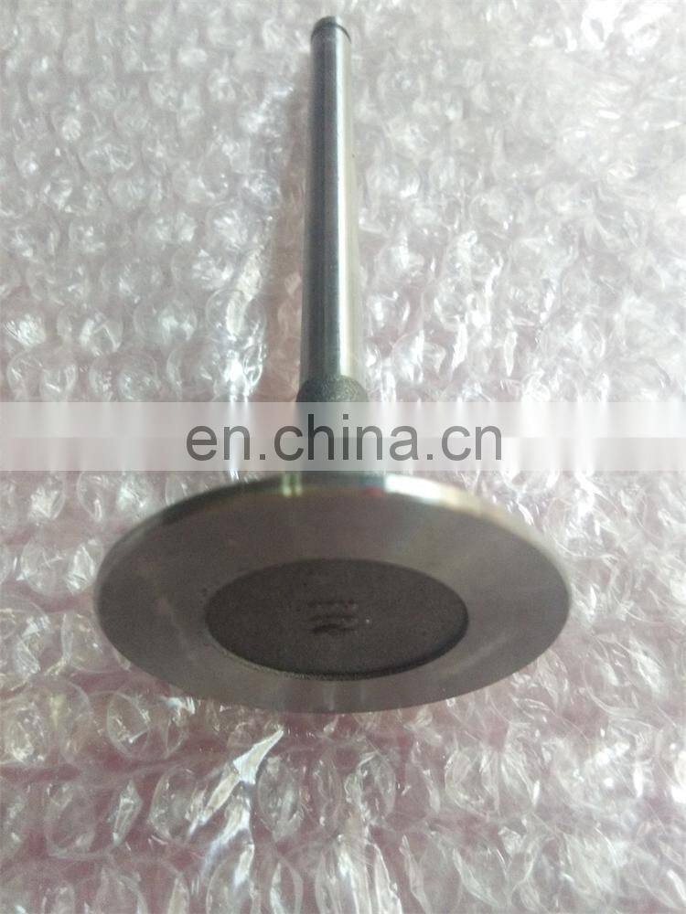 4B3.3 intake and exhaust Valve 6207414110