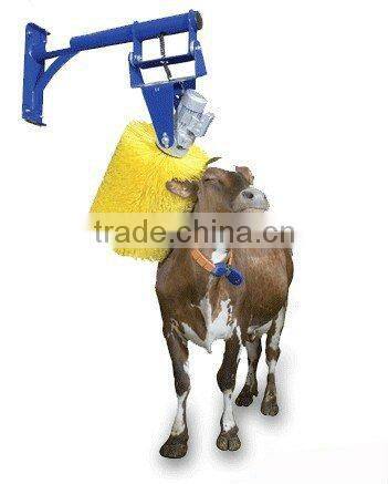 Cow body massage brush