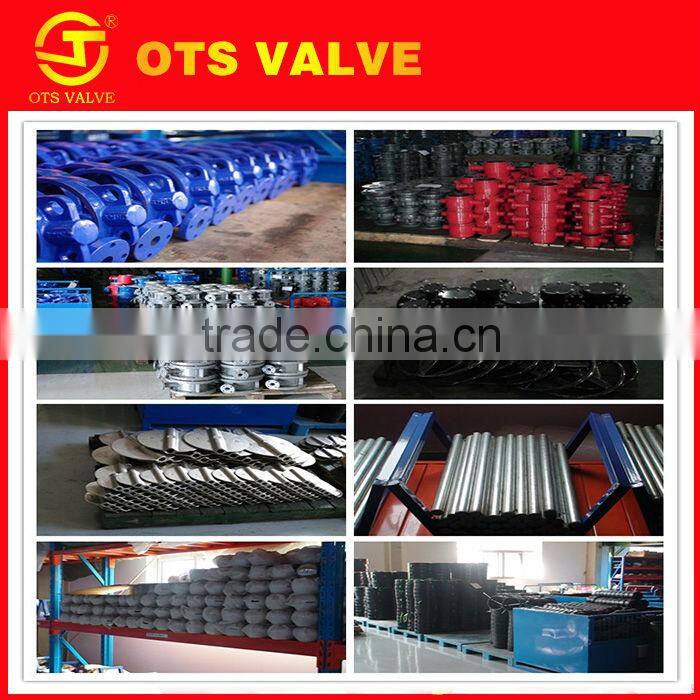 VP-LY-020 butterfly valve parts casting