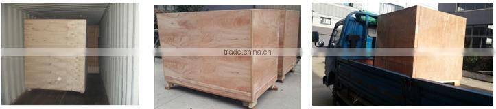 3 years free maintenance chamber salt spray cabinet with best price