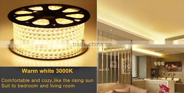 festalight 2016 christmas decoration chinese manufacturer new products high voltage SMD5050 SMD3528 led strip light