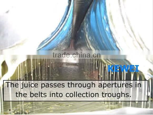 DYJ factory direct sales belt juicer