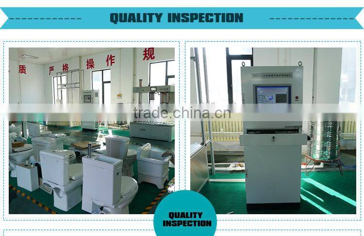 Wall hung ceramic toilet and P-Trap sanitary ware European Toilet flushometer toilet bowl