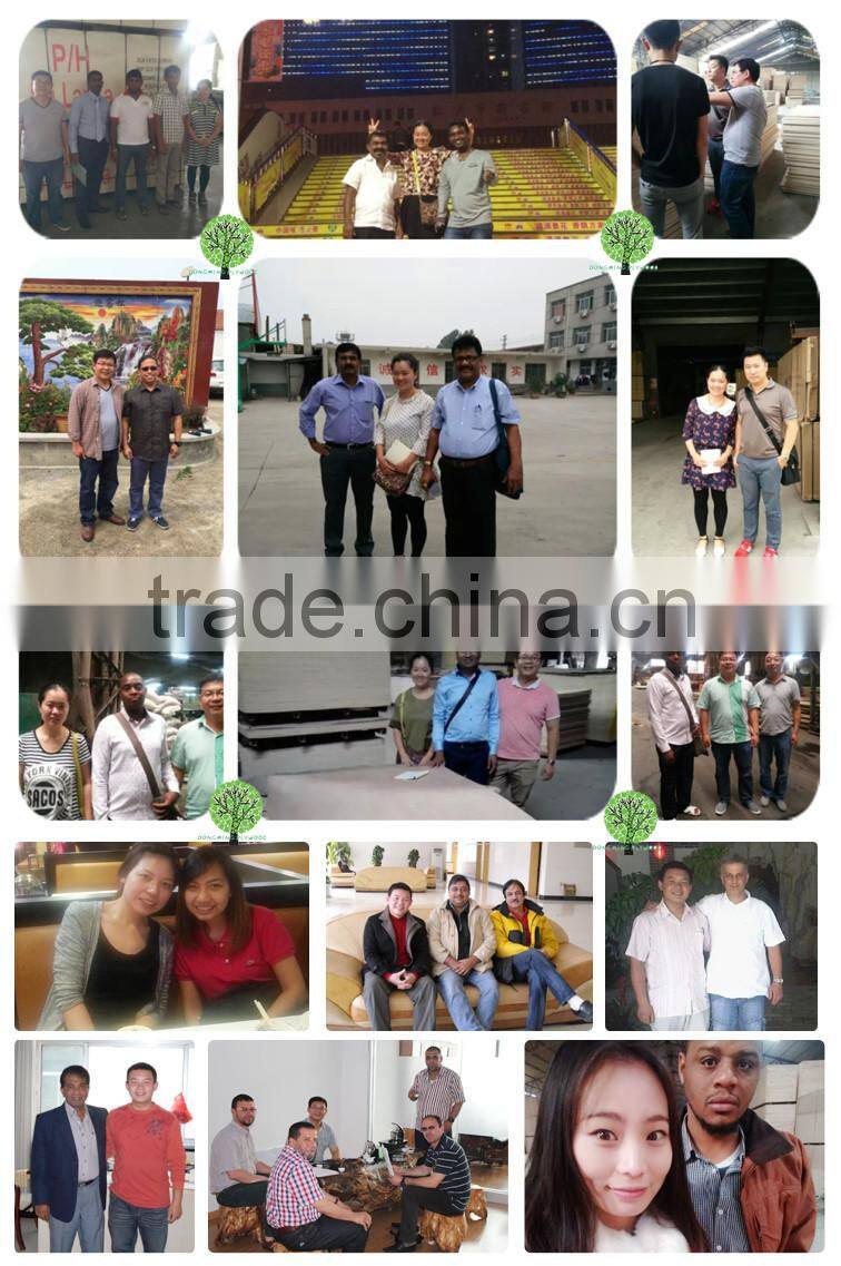 Laminate Veneer Board/Octagon Plywood