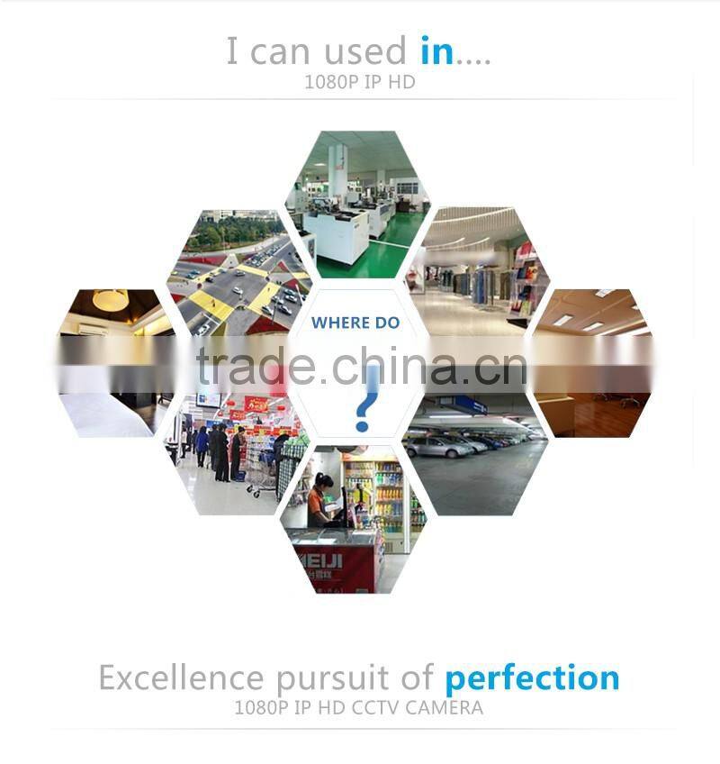 ONVIF Waterproof IR CUT 48pcs led 2.0MP IR Bullet Camera Support Night Vision P2P