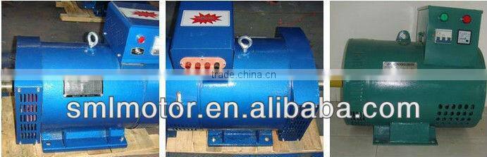 Fujian Three Phase Permanent Magnet Alternator
