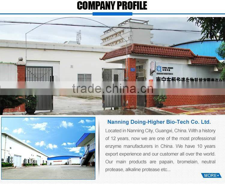 100% high quality protease for detergent factory supply alkaline protease for washing
