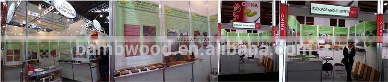 Clip fastener/Plastic Mounting Clip For Outdoor Wpc Decking