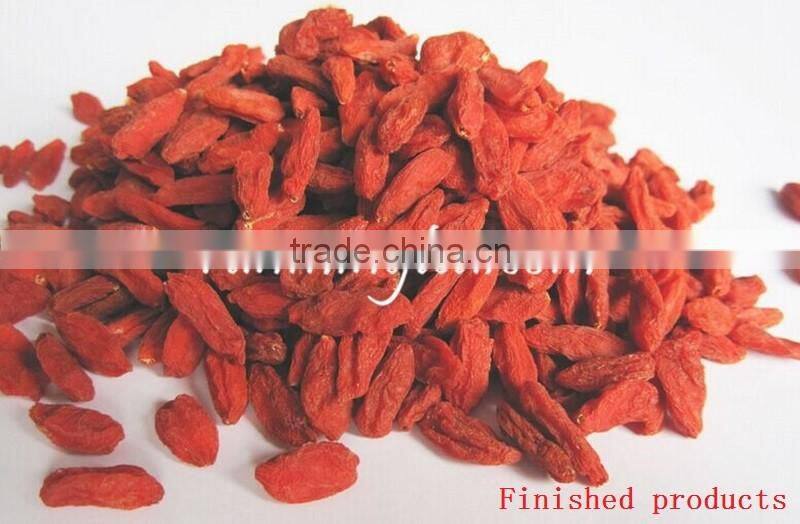 Dried Goji Berry Organic Goji Berries