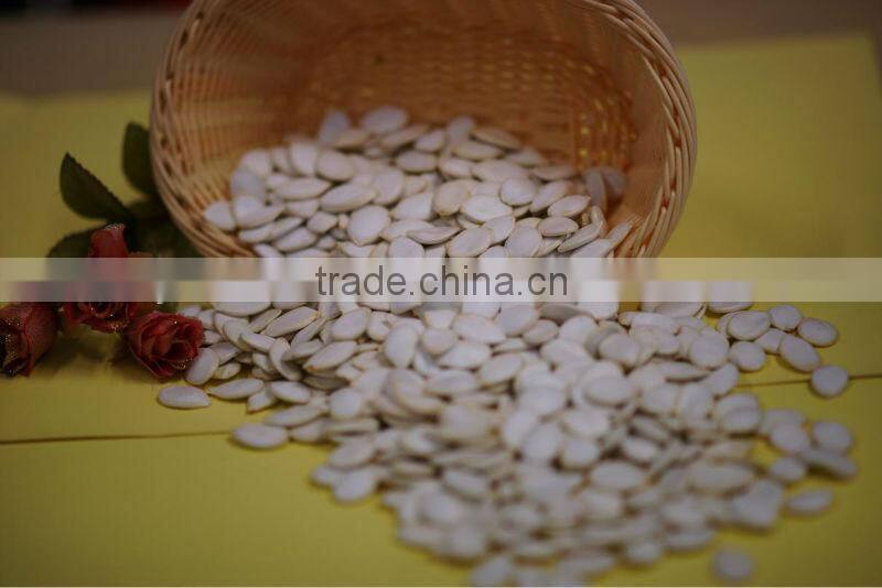 Snow white pumpkin seed.cushaw seed