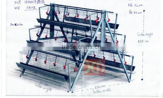 Layer Egg Chicken Cage/Poultry Farm House Design