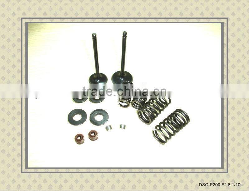 The intake valve and Exhaust Valve for GY6 250cc water cool scooter go kart