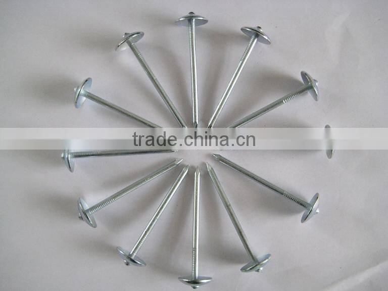 umbrealla nail with roofing head and thread nail body