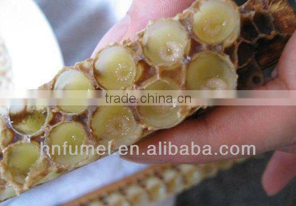 natural best royal jelly