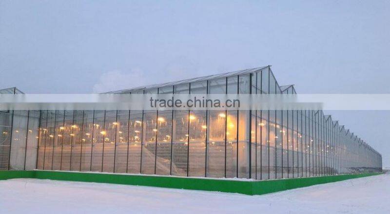 winter greenhouse