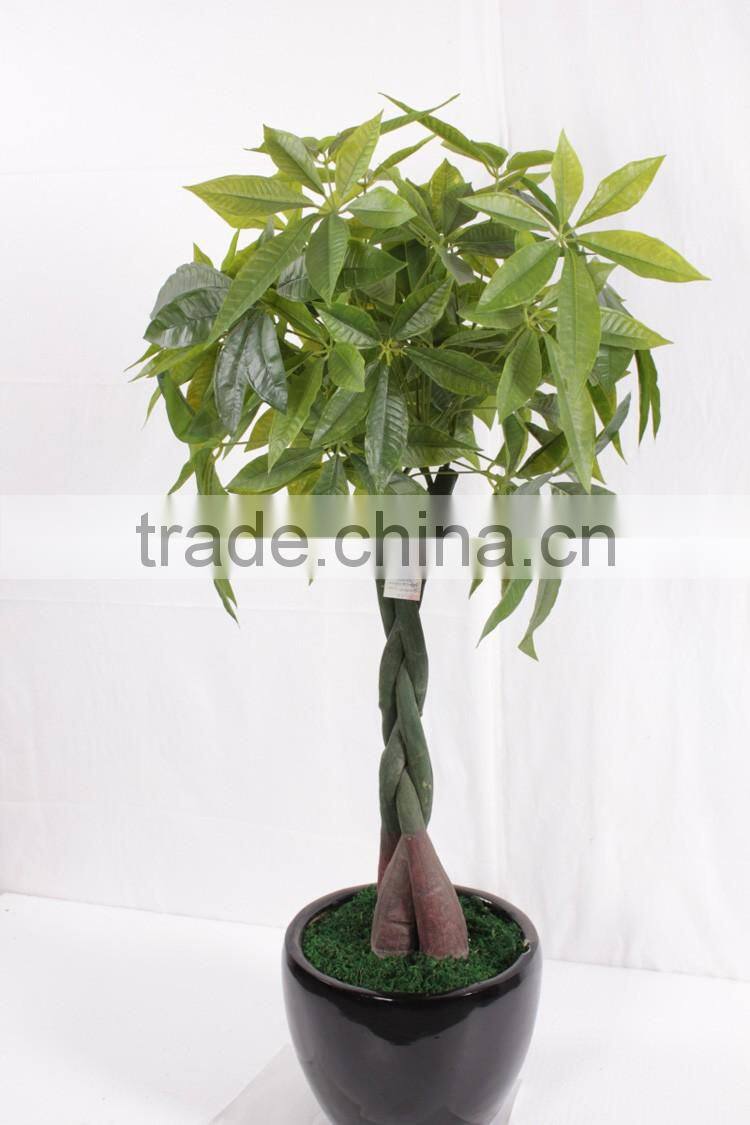 China hot sale evergreen fake money tree ,artificial Pachira