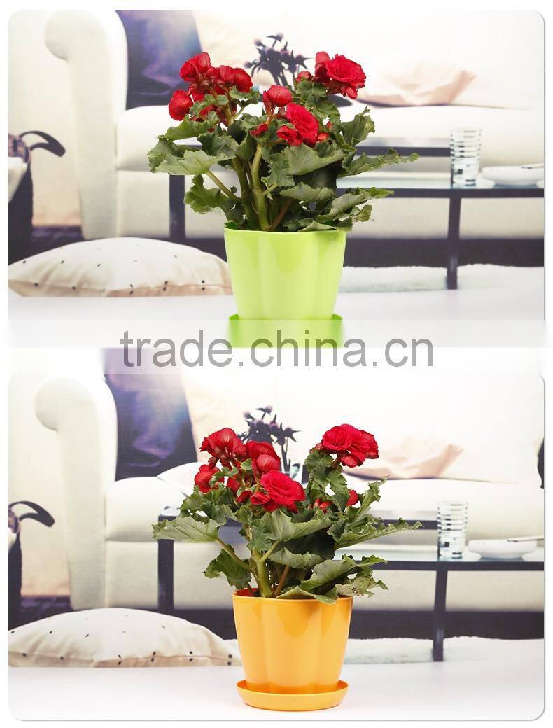 creative plastic flower pot wholesale