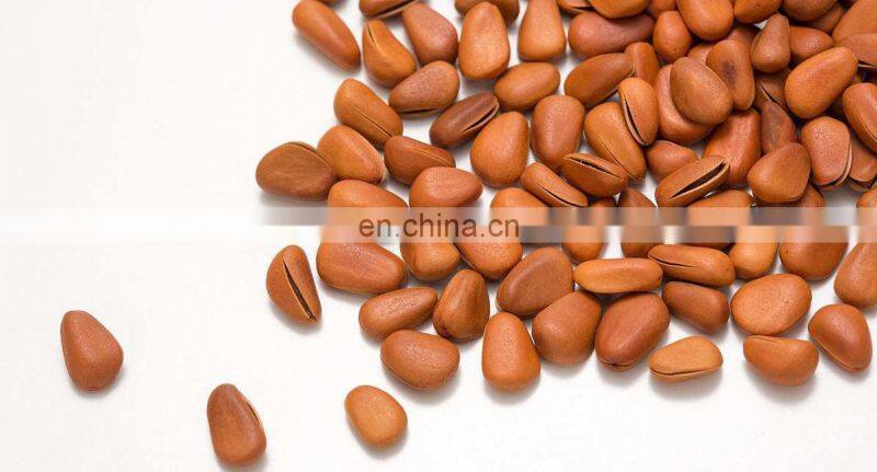 Stainless steel pine nuts empty shell remover cedar nut wind screening machine