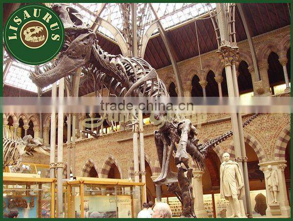Lisaurus-V artifical dinosaur skeleton fossil