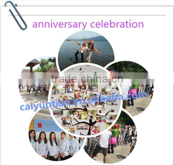 Custom printed standed laundry detergent powder bag with side spout