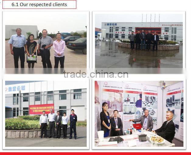 CJ MAG high stability Alnico Magnet in Shanghai China