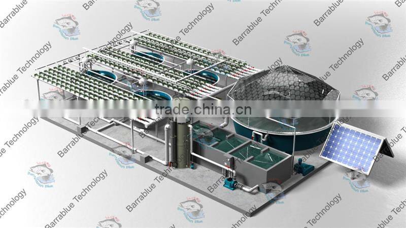 RAS/hydroponics growing system/Fish farm and hydroponic greenhouse system