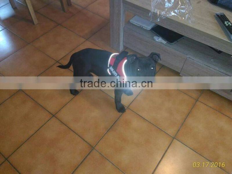 high quality cotton K9 nylon reflective pet K9 dog harness fashion large dog collar vest 4 colors