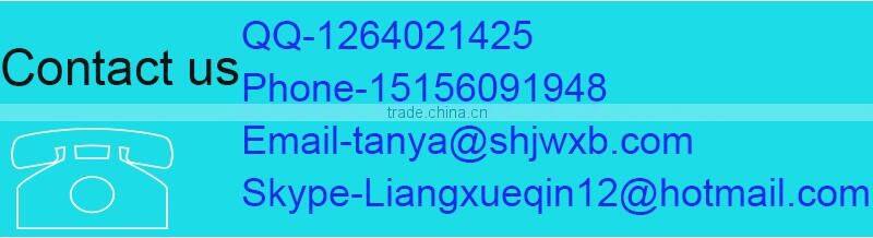 Insulated bag Cooler Bag Keep warm with Adjustable Straps