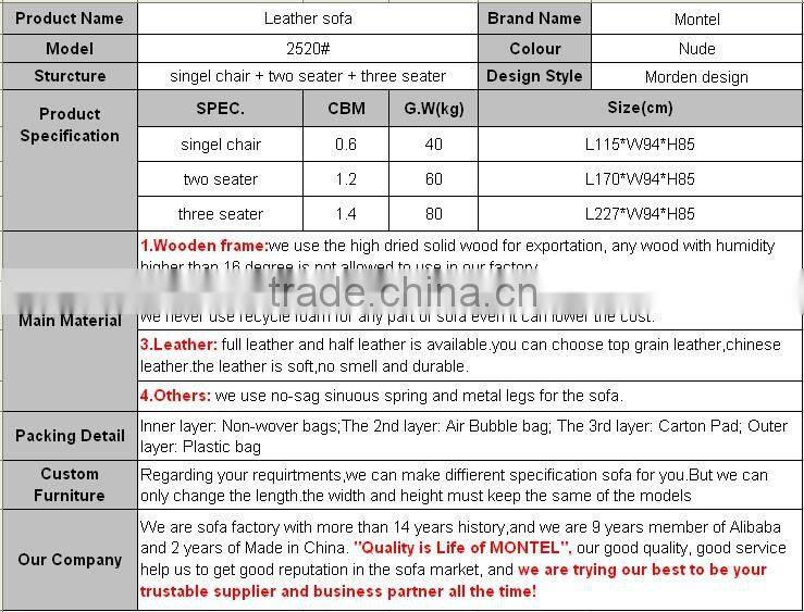 Modern Leather Sofa,Living Room Sofa,Leisure Sofa