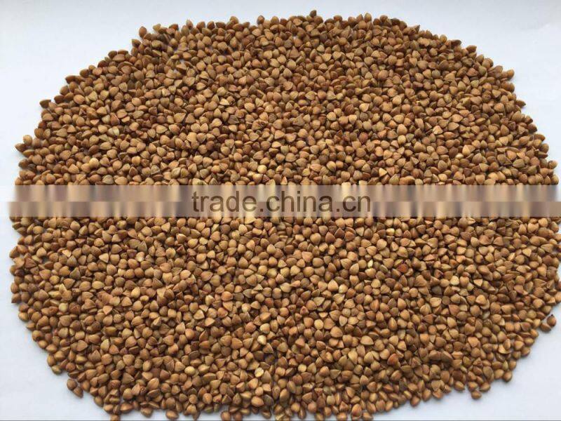 2016- New crop roasted Buckwheat kernel