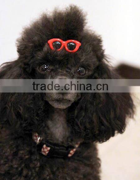 Sunglasses Hairpin for Pet, Fashion Pet Accessories 1/3