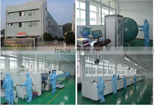 Round/flat 12V 110 220V dimmable decoration smd color changing led rope light with UL