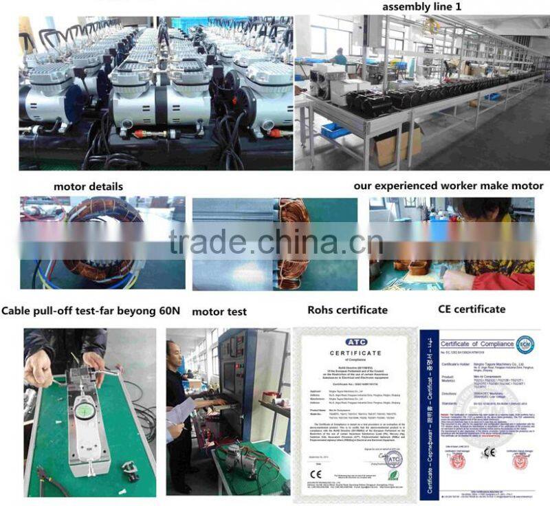 Tagore TG212 electric portable vacuum pump