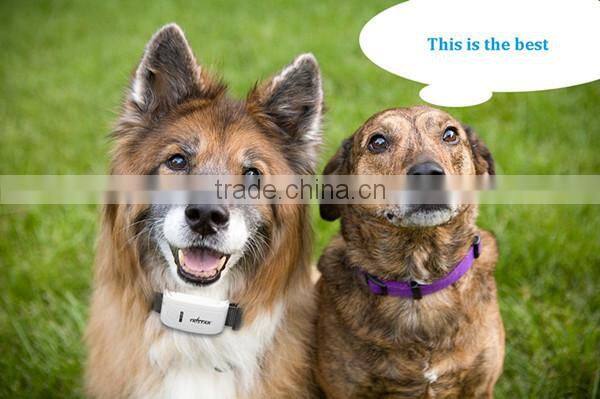 2015 Newest 5m GPS accuracy cell phone/platform real time tracking micro gps pets tracker Google map on mobile long standby time