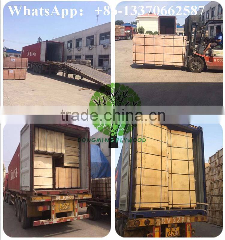 Natural Red Olive Wood Face Veneer