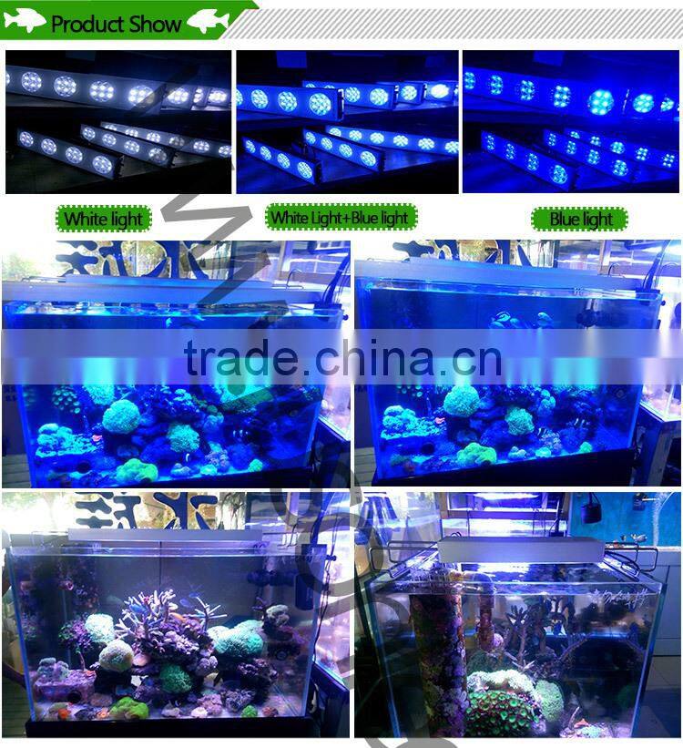 Wholesale chinese aquarium led lighting for cultured coral and fish white and blue led light OEM/ODM acceptable