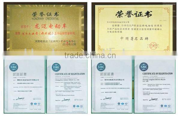 Convenient electric bicycle in india/philippines