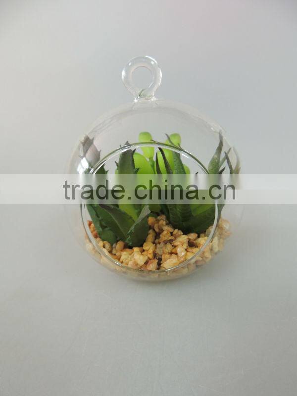high quality with glass ball plants for home decoration