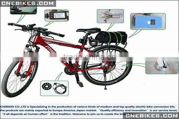 48v 20Ah LiFePo4 battery pack for high power ebike
