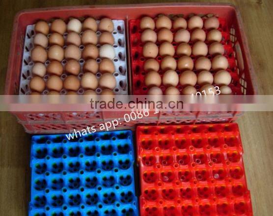 Packing transport tray plastic chicken egg tray 30 holes egg tray price