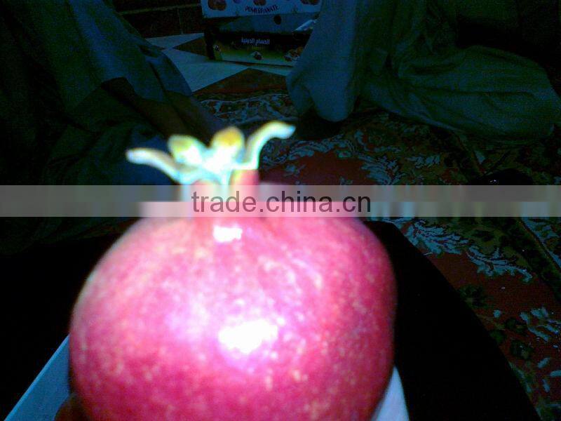 Sweet Pomegranate ( Fresh - Frozen )