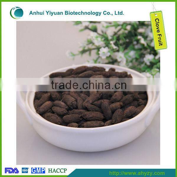 Spice Bulk Raw Clove Fruit