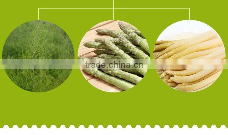 Good taste canned white asparagus